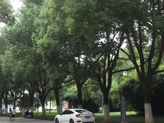 -天鹅湖体育公园