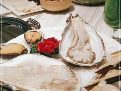 -汤城·料青山