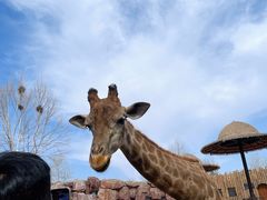 -济南野生动物世界