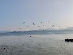 -深圳湾公园(南山区)