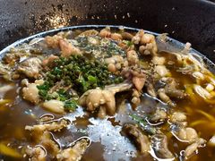 -靓蛙馆