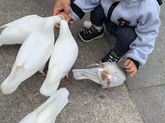 -无锡动物园·太湖欢乐园