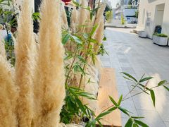 -217笋干馄饨