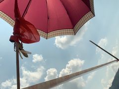 -广州白江湖森林公园