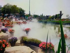-荷兰花海