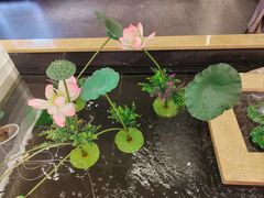 -宏宴·新京菜(望京店)