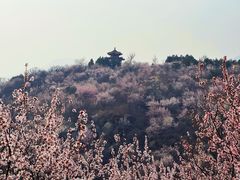 -白水寺森林公园