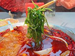 -渝大龙重庆火锅(温泉月亮湾店)
