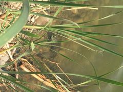 iphone_upload_pic-永定河休闲森林公园