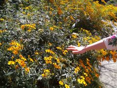 -优游吧斯邹族文化部落