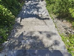 -朱雀国家森林公园