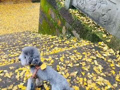 -金堂县云顶石城风景区