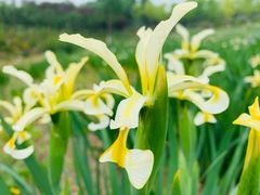 -永定河休闲森林公园