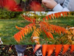 -北运河水利风景区