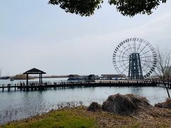 -太湖湖滨国家湿地公园-停车场