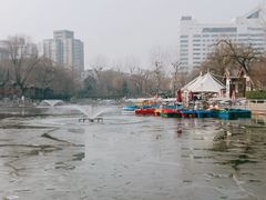 -莲湖公园