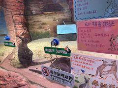 -正佳雨林生态植物园