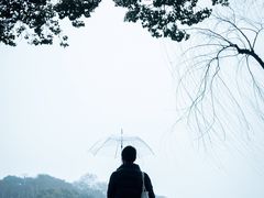 -苏堤停车场