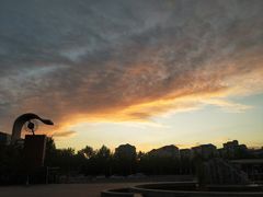 -山东外贸职业学院