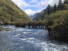 -九寨沟-树正沟