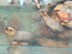 -郑州银基黄帝宫御温泉