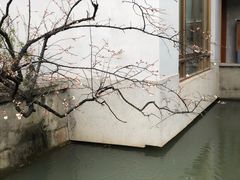 -无锡梅园公园
