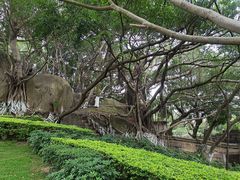 -胡里山炮台