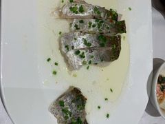 -沪碟·精菜坊(闵行店)