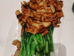 -同乐馆(阳光店)