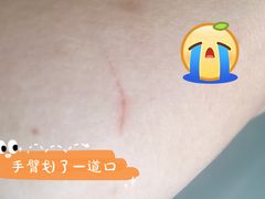 -上海新锦江大酒店