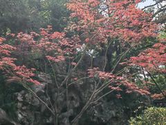 -浙江西子宾馆·牡丹厅