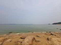 -瑶湖郊野森林公园