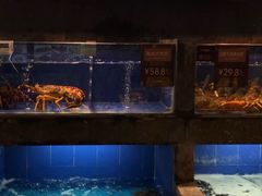 水产区-徐记海鲜(陕西历史博物馆|明德门店)