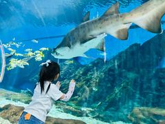 -海合安武汉极地海洋公园