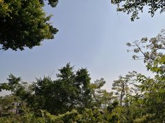 -海湾壹品·粤菜·早茶·烤鸭(拱北店)