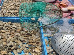 -双合园·海鲜水饺青岛菜(万佳广场店)