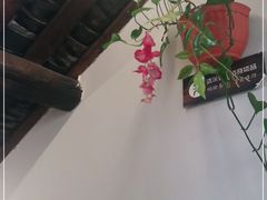 -土桥手掌鸡·26年灌县老味道(都江堰店)