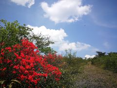 -东天目山风景区