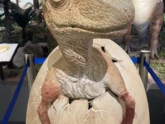 -湖南省地质博物馆