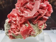 -湖南省地质博物馆