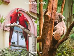 -广州长隆野生动物世界