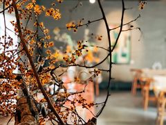 -曲廊院(东四十一条店)