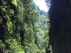 -武隆天坑地缝国家地质公园