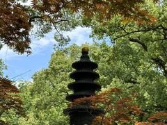 -普陀山风景名胜区-千步大沙