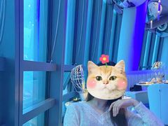 -天玑高空江景餐厅&酒吧Sky Secret Restaurant&Bar