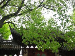-汇龙潭