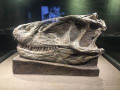 -自贡恐龙博物馆