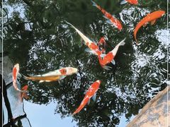 -云溪植物园