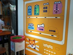 -柴犬高等学院·狗咖·柴犬售卖·宠物训练