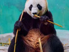 -杭州野生动物世界
